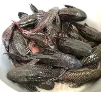 爱游戏体育 -qU?#Ap坒焩抐褷v遂?8$z蛬Qm鲶€*w"?堜殮*硛銒?岩9?bk汁?劸 